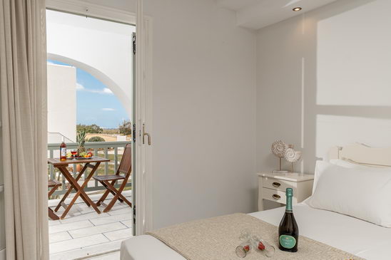 Double room with garden view